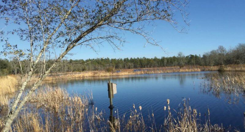 2016 Beaufort County Open Land Trust Annual Report - Burris family pond